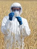 11 Countries That Produce The Most Genetically Modified Crops