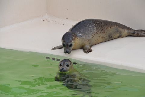 16 Fun First Date Ideas in NYC