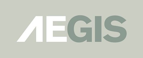 Aegis Defense Services