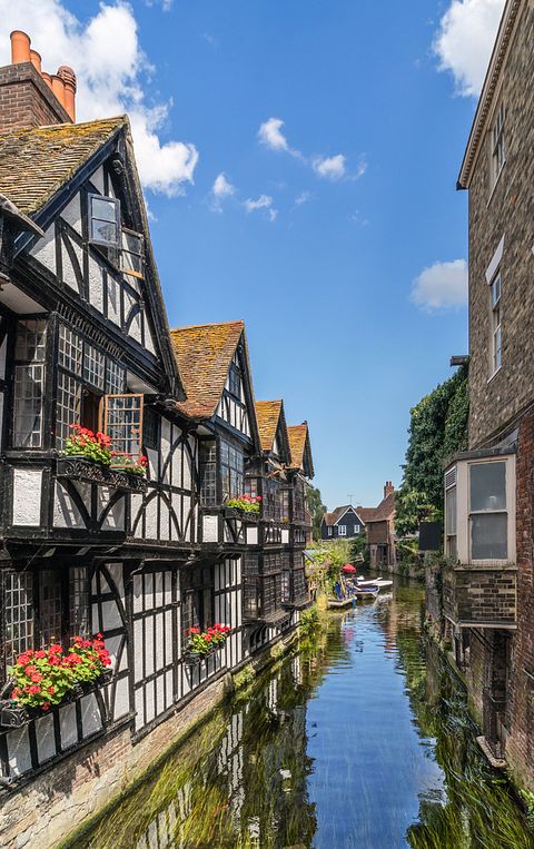 Gordon Bell/Shutterstock.com 
