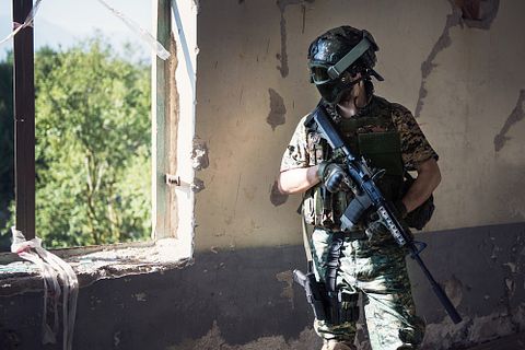 Florin Patrunjel/Shutterstock.com