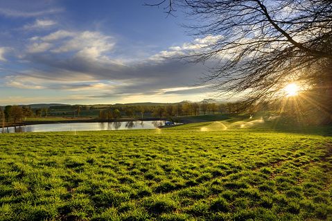 WOLF AVNI/Shutterstock.com 