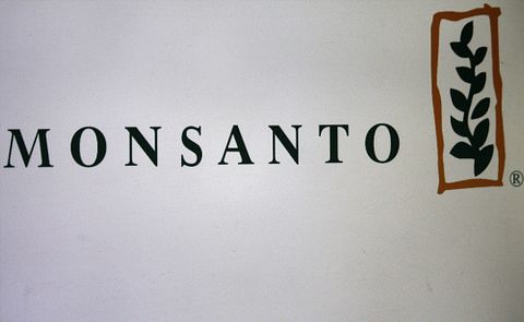 monsanto, gentechnik, agriculture, business, leuchtreklame, engineering, sign, symbol, name, germany, embleme, wirtschaft, electronic, marke, logo, american, economy,