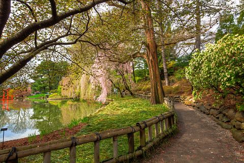 15 Romantic Things To Do in NYC in Fall