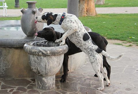 Purple Ketchup, Celery Soda and 6 Other Crazy Food Ideas That Flopped