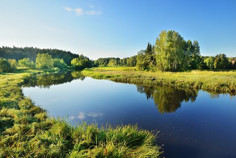 Aleksey Stemmer/Shutterstock.com