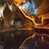 West Red Lake Gold Reports 176.04 g/t Au over 5.3m, 128.32 g/t Au over 4.5m and 35.72 g/t Au over 13.35m from Austin 955 and 904 Complexes