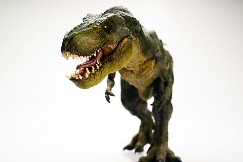 dinosaur, rex, tyrannosaurus, dino, ancient, background, restoration, extinct, isolated, fight, model, violence, carnivorous, power, escape, herrerasaurus, creature, history,jurassic, Top 10 Google Searches in 2015