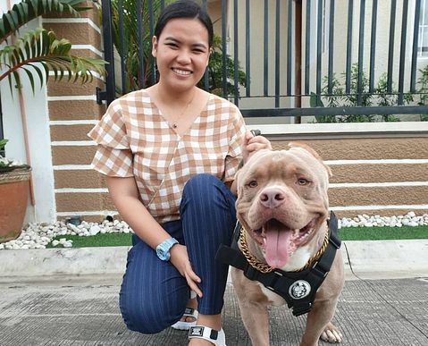 BARK Inc. (BARK) Reports Positive Free Cash Flow, Record Order Value Amid Strategic Efficiency Pivot