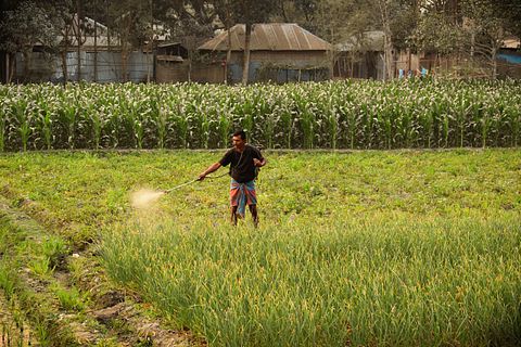 11 Best Fertilizer Stocks to Invest In