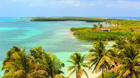 Maciej Czekajewski/Shutterstock.com 