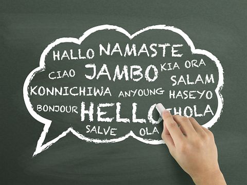 totallyPic.com/Shutterstock.com