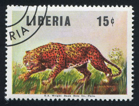 rook76/Shutterstock.com 