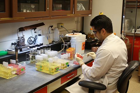 best pharma stocks to buy now