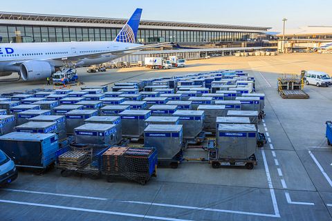 Tooykrub / Shutterstock.com