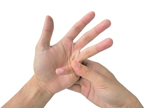 Easiest Bones to Break Safely and Painlessly