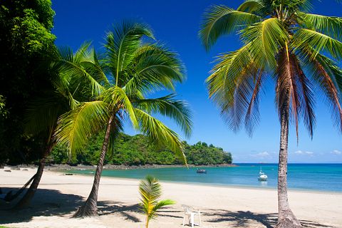 ian woolcock/Shutterstock.com 