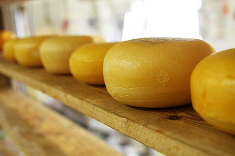 10 Countries that Export the Most Cheese in the World 
