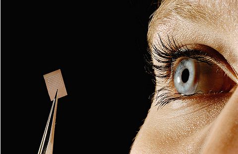 RBC Capital Raises PT and Maintians a Buy on Qnity Electronics (Q)