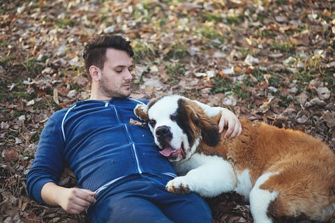 10 Best Autism Service Dogs for Adults 