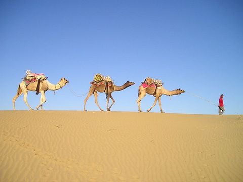 india-356_640