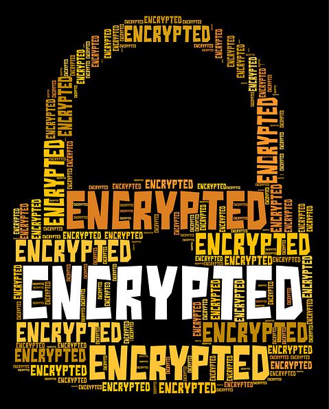 Stuart Miles/Shutterstock.com