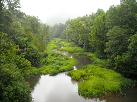alabama- trees-river-green-landscape