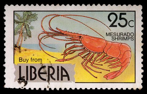 Stephen B. Goodwin/Shutterstock.com 