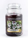 17 Best Selling Yankee Candle Scents in 2020