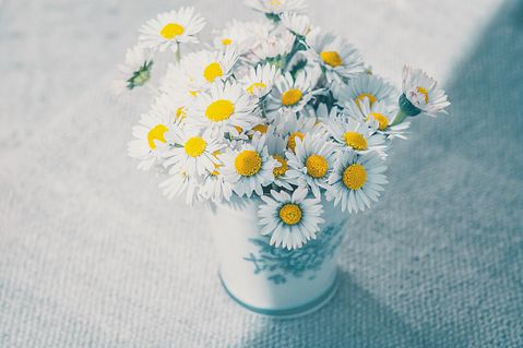 Countries that Export the Most Cut Flowers in the World