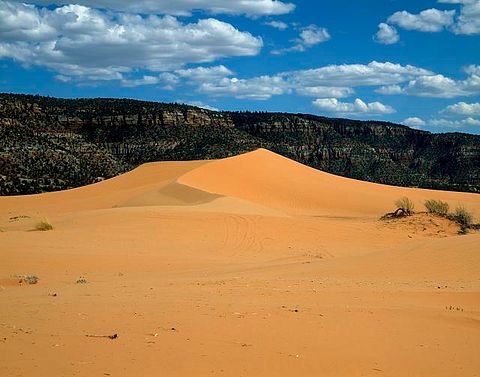 Coral Pink Sand Dunes Utah