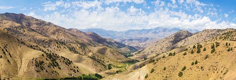 Aleksandr Sadkov/Shutterstock.com