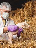 15 Best States for Animal Scientists