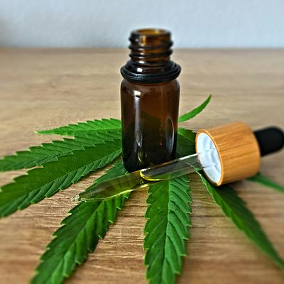 8 Best CBD Stocks to Buy Right Now