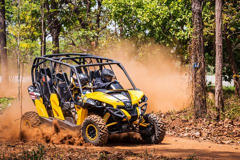 nuwatphoto / Shutterstock.com