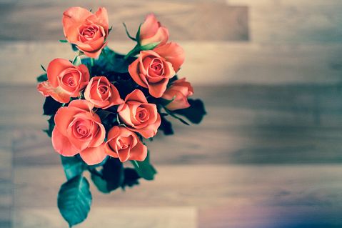 Countries that Export the Most Cut Flowers in the World