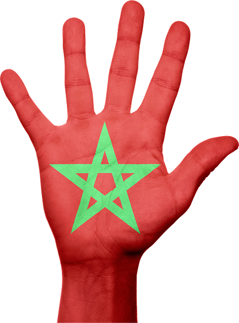 10 Countries That Send Most Immigrants To France