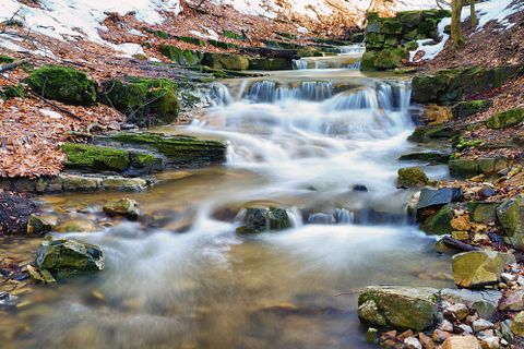 Gelner Tivadar/Shutterstock.com 