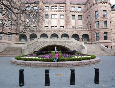 20 Things to Do in NYC with Toddlers