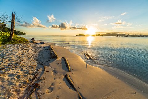 10 Most Biodiverse Countries in the World 