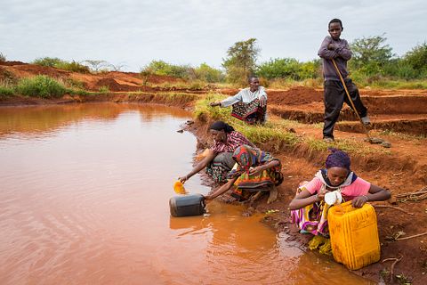 Martchan/Shutterstock.com