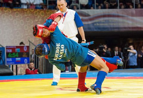 15 Most Physically Demanding Olympic Sports