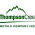 Should You Avoid Thompson Creek Metals Company Inc (USA) (TC)?
