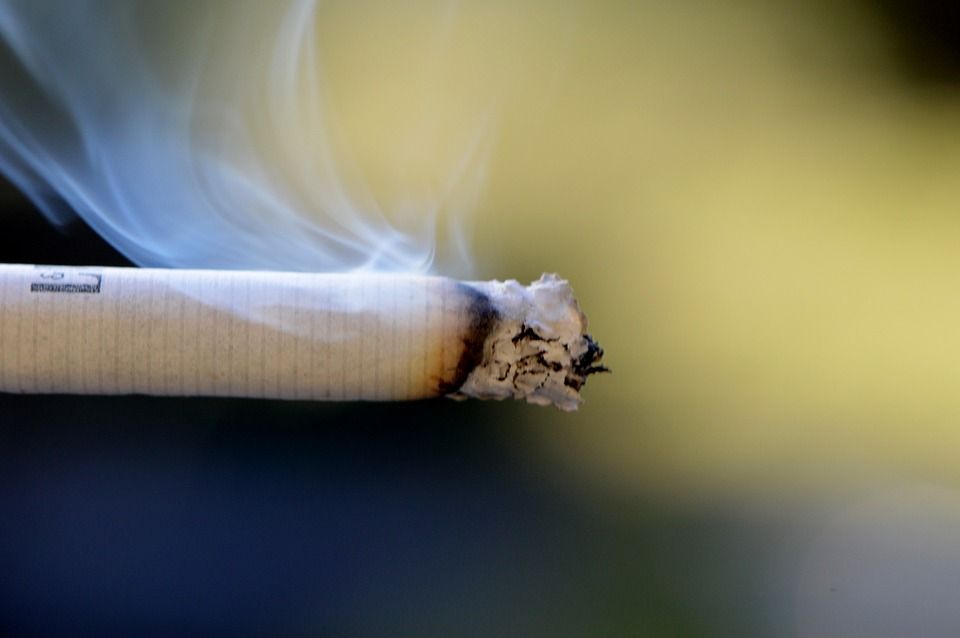 tobacco vendor license Application for Tobacco License