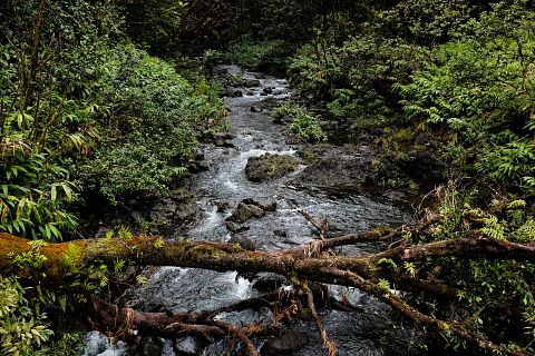 creek-828568_1920