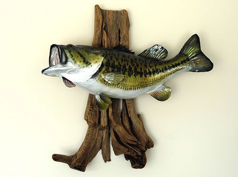 10 Best Tasting Freshwater Fish to Eat