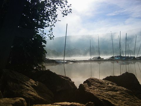 black-forest-123640_1280