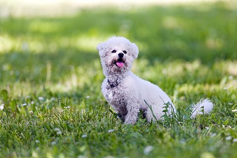 10 Unusual Jobs That Pay Well in UK