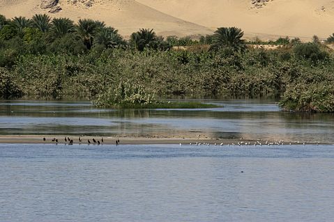 nile-441539_1280