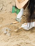 25 best states for archaeologists and anthropologists